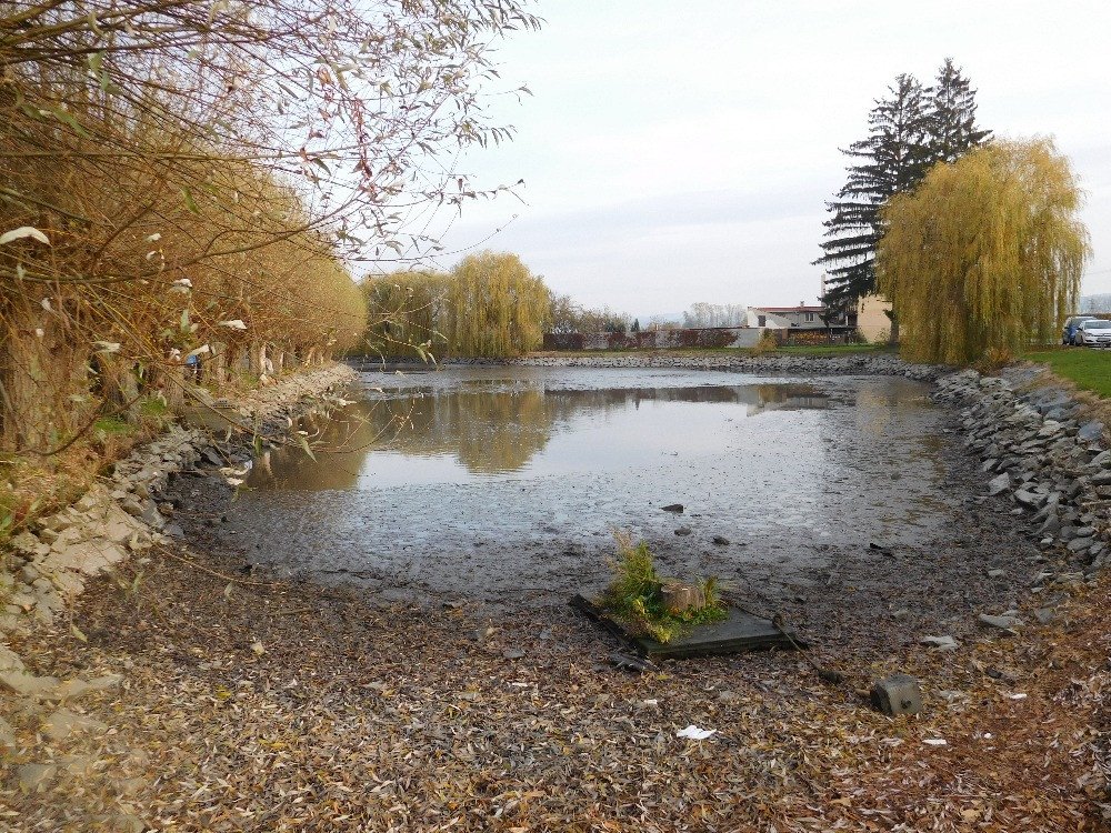2016-11-05-vylov-rybnika