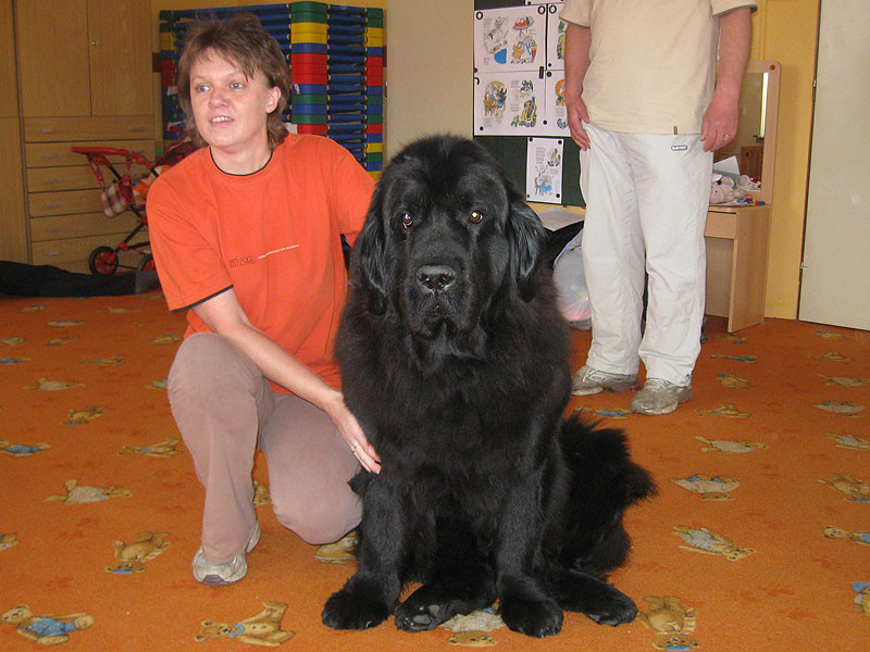 2010-pesveskolce