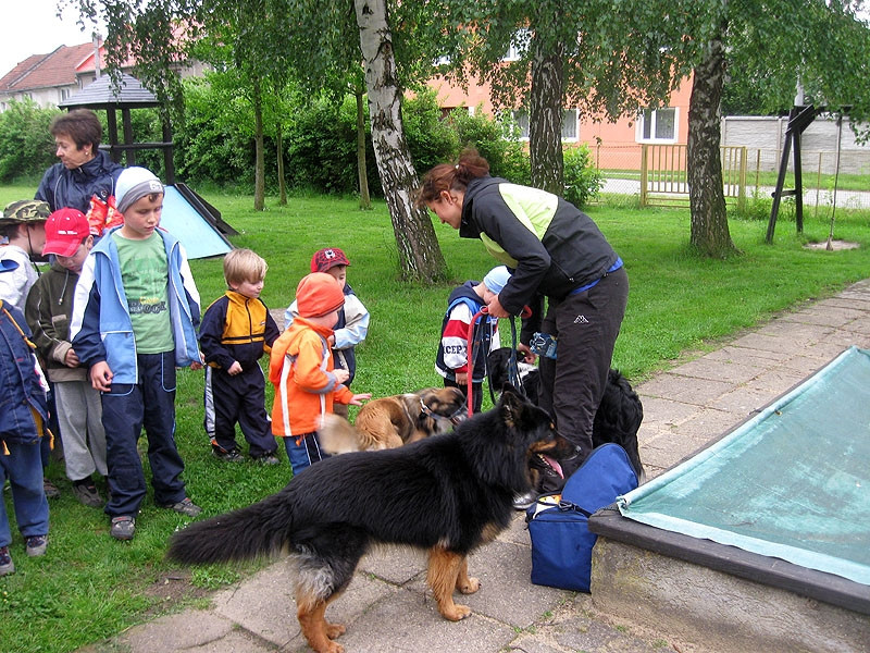 2010-detskydenvMS